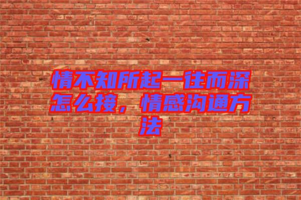 情不知所起一往而深怎么接，情感溝通方法
