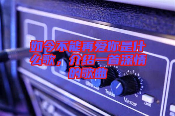 如今不能再愛你是什么歌，介紹一首深情的歌曲