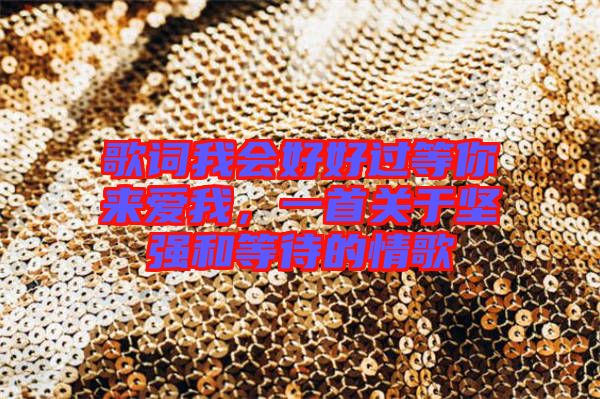 歌詞我會好好過等你來愛我，一首關(guān)于堅強和等待的情歌