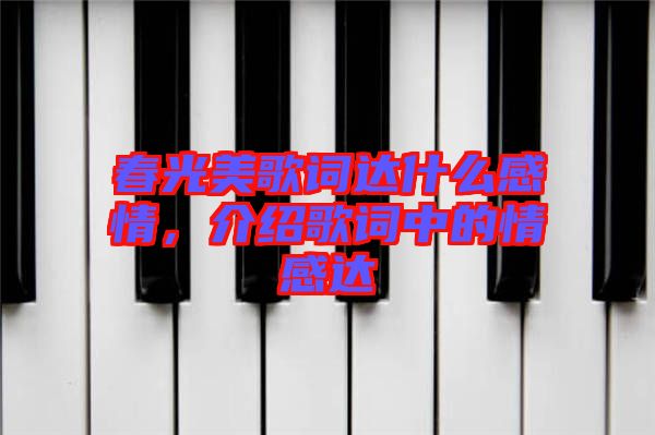 春光美歌詞達(dá)什么感情，介紹歌詞中的情感達(dá)