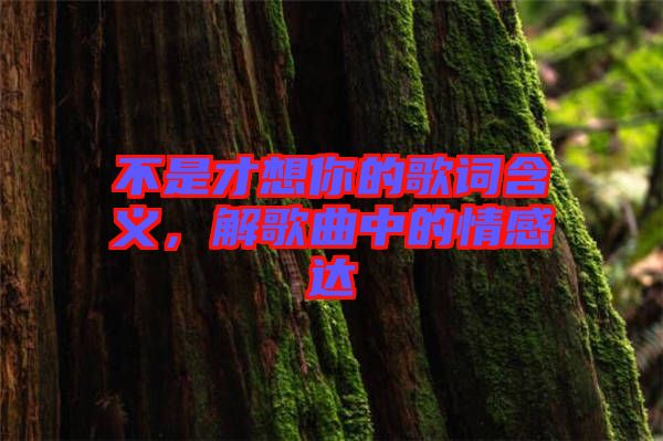 不是才想你的歌詞含義，解歌曲中的情感達(dá)