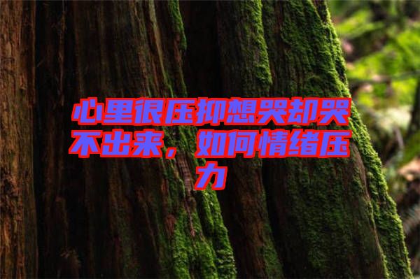 心里很壓抑想哭卻哭不出來，如何情緒壓力