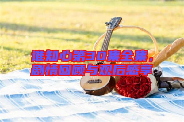 誰知心第30集全集，劇情回顧與觀后感享
