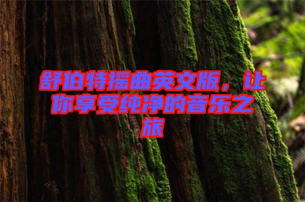 舒伯特搖曲英文版，讓你享受純凈的音樂之旅