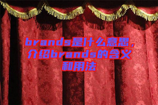 brands是什么意思，介紹brands的含義和用法