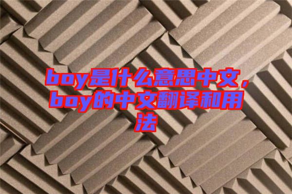 boy是什么意思中文，boy的中文翻譯和用法
