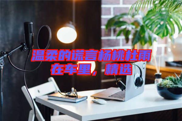 溫柔的謊言楊桃杜雨在車里，精選