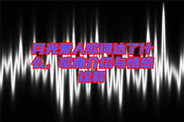 月光愛人歌詞達了什么，歌曲介紹與情感詮釋