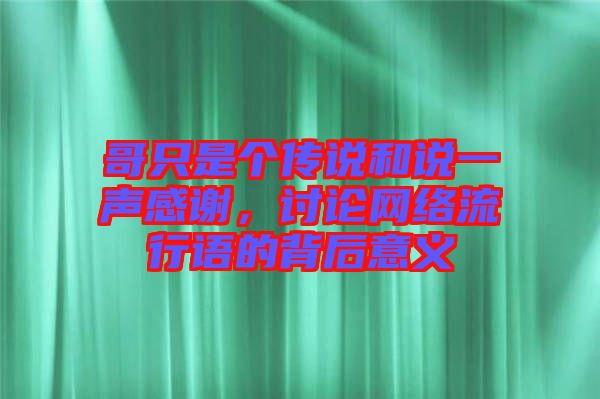 哥只是個傳說和說一聲感謝，討論網(wǎng)絡(luò)流行語的背后意義