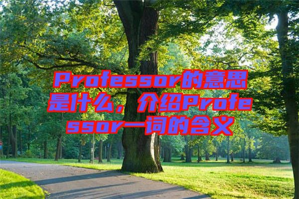 Professor的意思是什么，介紹Professor一詞的含義