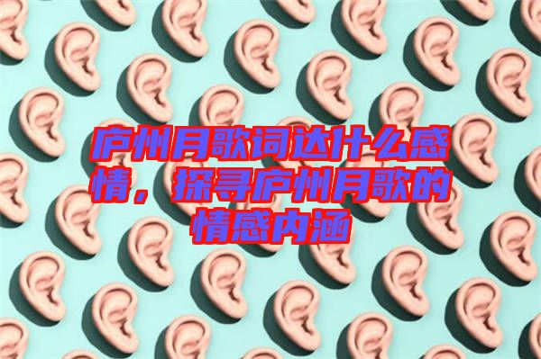 廬州月歌詞達什么感情，探尋廬州月歌的情感內涵