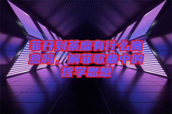 菲開到荼靡有什么寓意嗎，解菲歌曲中的哲學(xué)思想