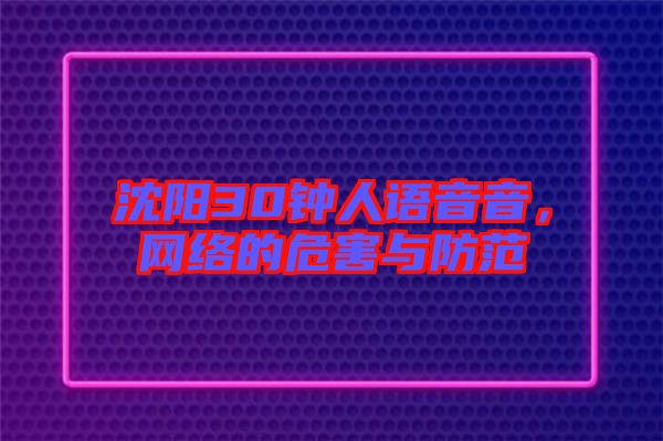 沈陽30鐘人語音音，網(wǎng)絡的危害與防范
