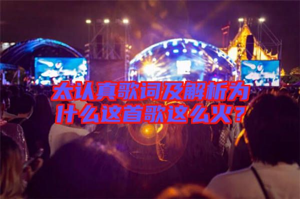 太認(rèn)真歌詞及解析為什么這首歌這么火？