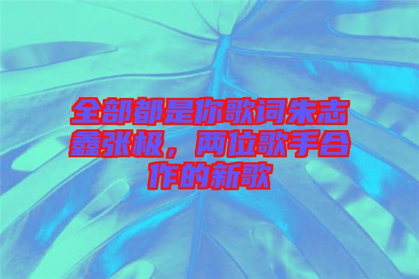 全部都是你歌詞朱志鑫張極，兩位歌手合作的新歌