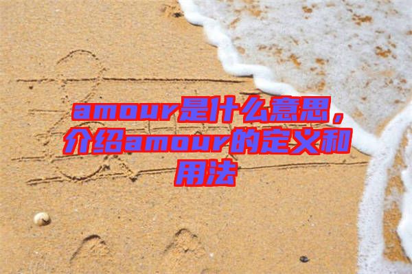 amour是什么意思，介紹amour的定義和用法