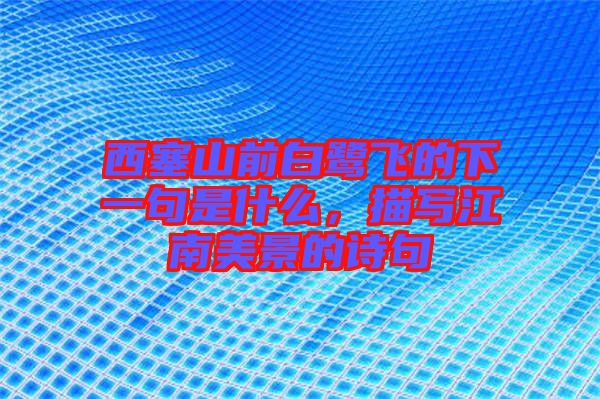 西塞山前白鷺飛的下一句是什么，描寫江南美景的詩句