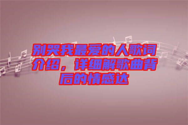 別哭我最愛的人歌詞介紹，詳細(xì)解歌曲背后的情感達
