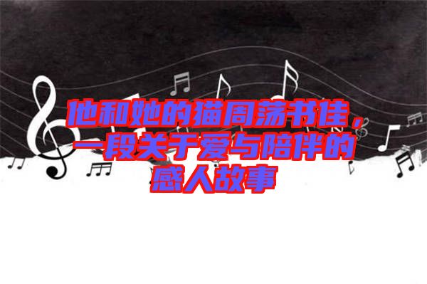 他和她的貓周蕩書佳，一段關(guān)于愛與陪伴的感人故事