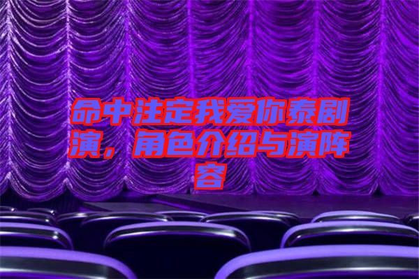 命中注定我愛你泰劇演，角色介紹與演陣容