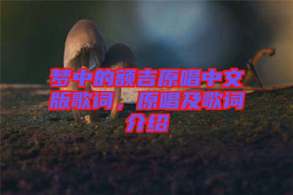 夢(mèng)中的額吉原唱中文版歌詞，原唱及歌詞介紹