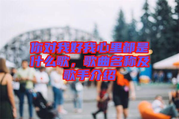 你對(duì)我好我心里都是什么歌，歌曲名稱及歌手介紹