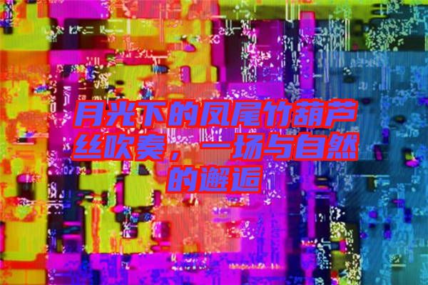 月光下的鳳尾竹葫蘆絲吹奏，一場與自然的邂逅