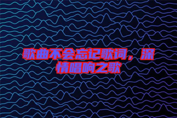 歌曲不會(huì)忘記歌詞，深情唱響之歌