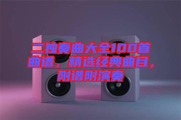 二獨奏曲大全100首曲譜，精選經(jīng)典曲目，附譜附演奏