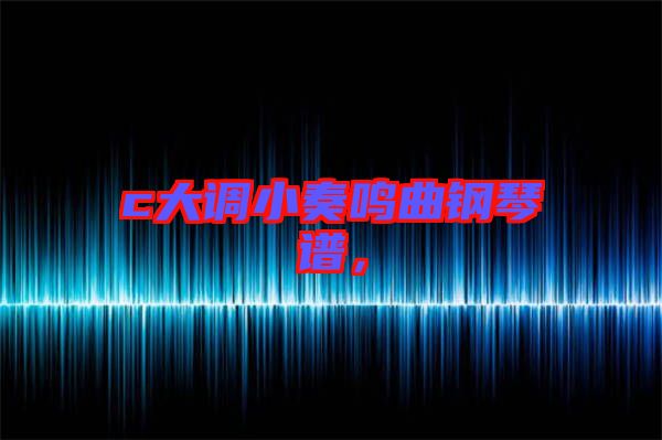 c大調(diào)小奏鳴曲鋼琴譜，