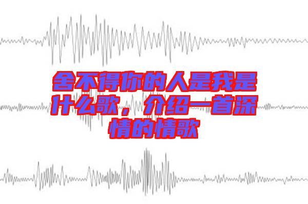 舍不得你的人是我是什么歌，介紹一首深情的情歌