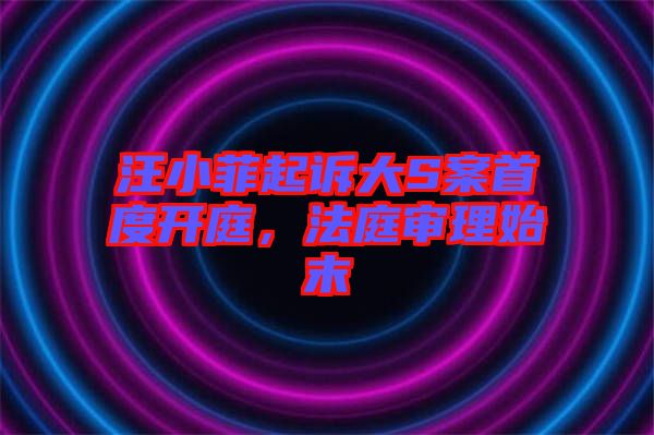 汪小菲起訴大S案首度開庭，法庭審理始末