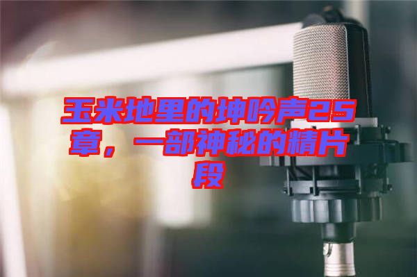 玉米地里的坤吟聲25章，一部神秘的精片段