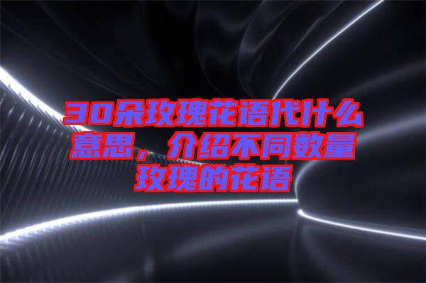 30朵玫瑰花語(yǔ)代什么意思，介紹不同數(shù)量玫瑰的花語(yǔ)