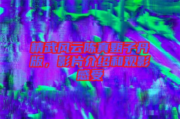 精武風(fēng)云陳真甄子丹版，影片介紹和觀影感受