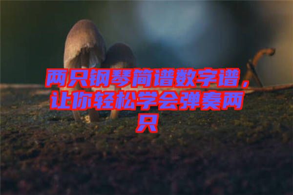 兩只鋼琴簡譜數(shù)字譜，讓你輕松學(xué)會彈奏兩只