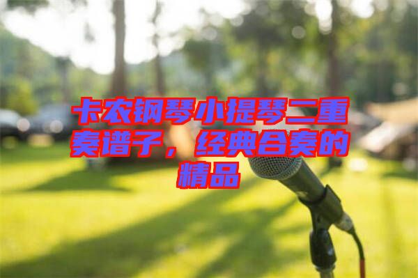 卡農(nóng)鋼琴小提琴二重奏譜子，經(jīng)典合奏的精品