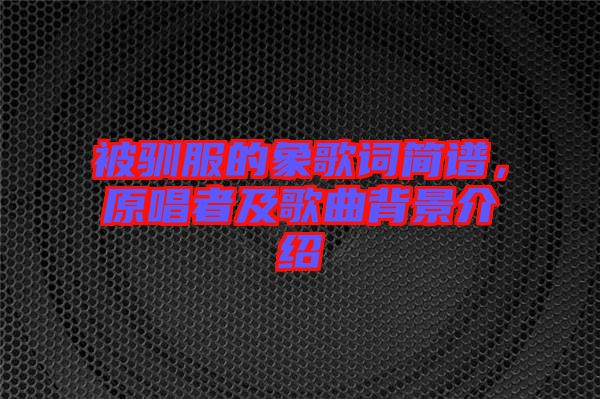 被馴服的象歌詞簡譜，原唱者及歌曲背景介紹