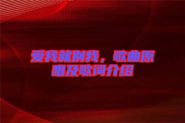 愛我就別我，歌曲原唱及歌詞介紹