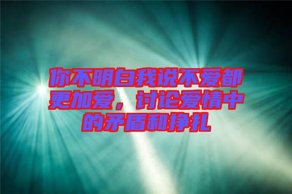 你不明白我說不愛都更加愛，討論愛情中的矛盾和掙扎