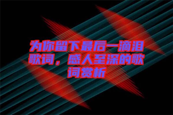為你留下最后一滴淚歌詞，感人至深的歌詞賞析