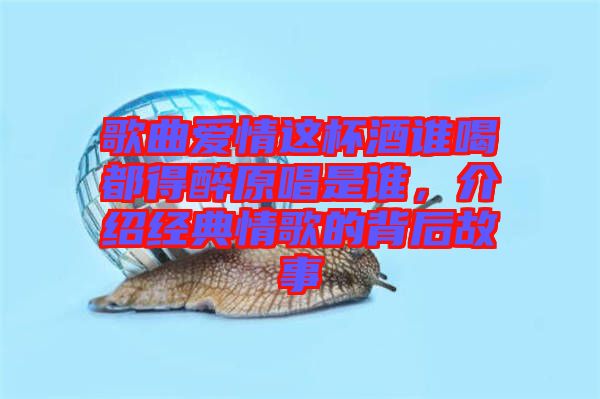 歌曲愛(ài)情這杯酒誰(shuí)喝都得醉原唱是誰(shuí)，介紹經(jīng)典情歌的背后故事