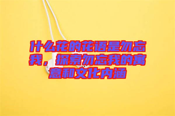 什么花的花語是勿忘我，探索勿忘我的寓意和文化內(nèi)涵