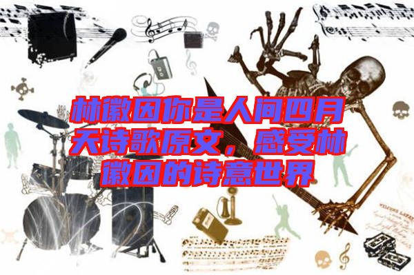 林徽因你是人間四月天詩歌原文，感受林徽因的詩意世界