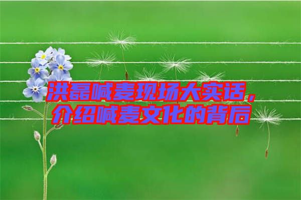 洪磊喊麥現(xiàn)場大實話，介紹喊麥文化的背后