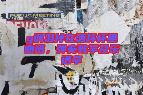 g調(diào)淚掉在酒杯杯里曲譜，彈奏教學(xué)及樂譜享