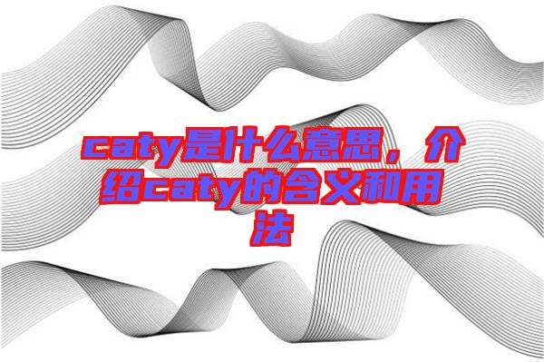 caty是什么意思，介紹caty的含義和用法