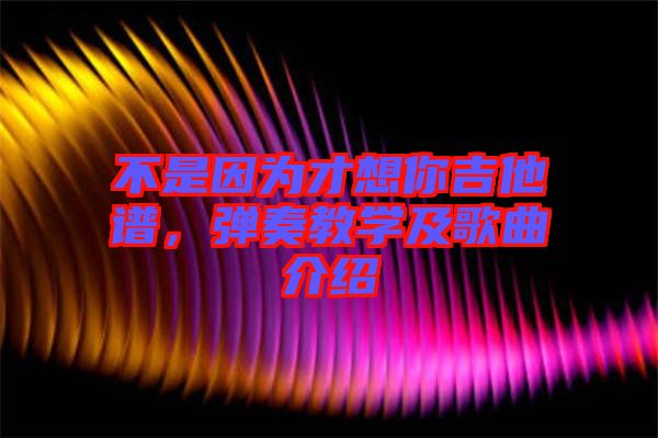 不是因?yàn)椴畔肽慵V，彈奏教學(xué)及歌曲介紹