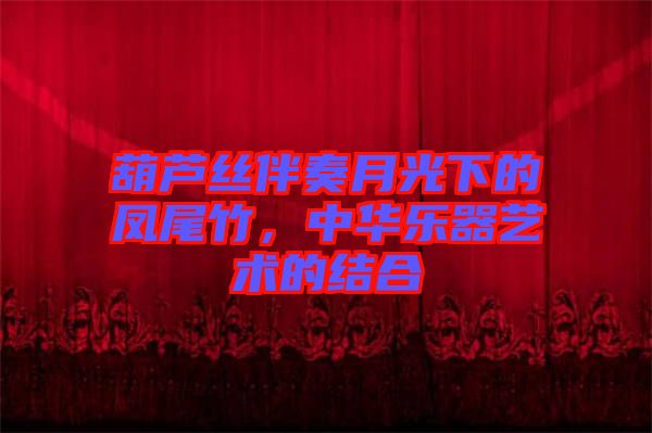 葫蘆絲伴奏月光下的鳳尾竹，中華樂器藝術(shù)的結(jié)合