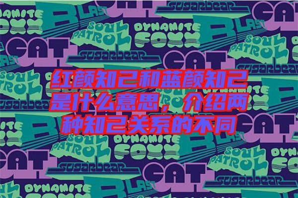 紅顏知己和藍(lán)顏知己是什么意思，介紹兩種知己關(guān)系的不同